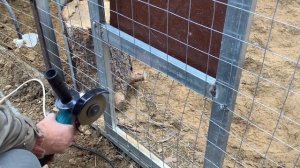 Строим красивый забор для курочек ?
