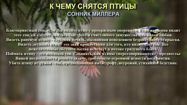 К чему снятся птицы. Сонник Миллера. Толкование снов. смотреть онлайн