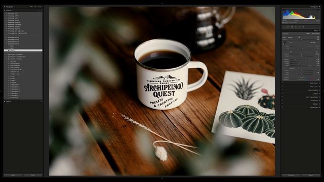 QUICK TIP - PREVIEW YOUR PHOTO IN B&W