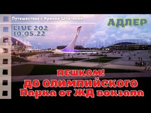 От ЖД Адлера до Олимпийского парка дошла пешком. Шоу фонтанов ⛲ LIVE 202
