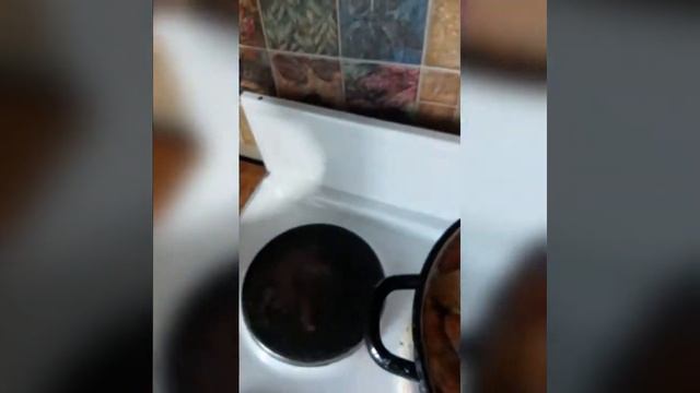 Художественная Гимнастика