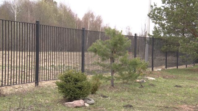 2022/05 – Рядом с Угличем «Лось пробежал» смотреть онлайн