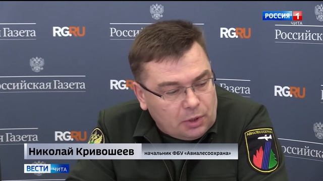 Количество лесных пожаров в 2021 году сократилось почти в 4,5 раза