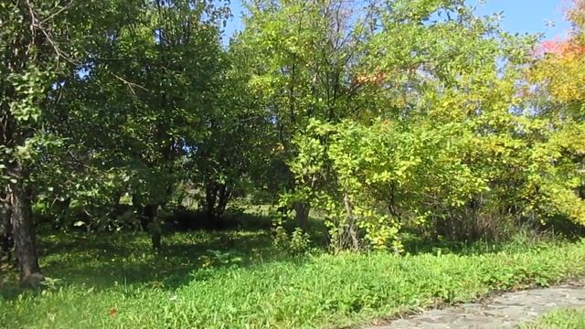 Осколки смотреть онлайн