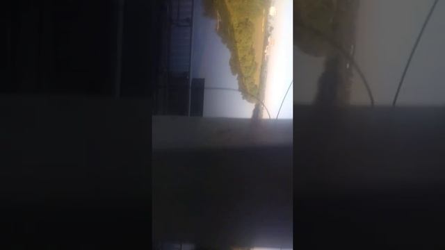 Начало бмо эр2р смотреть онлайн