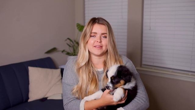 WE GOT A PUPPY! | Meet My Mini Aussie смотреть онлайн