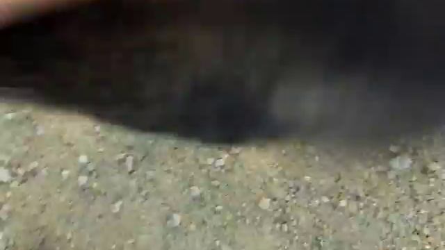 Щенки 11-12нед смотреть онлайн