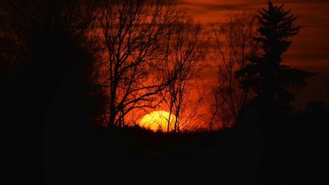 Шаманская музыка для исцеления 1 час смотреть онлайн