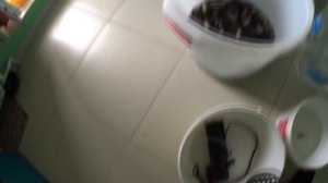 Хранение большого количества живца всю зиму. 500шт карасей.