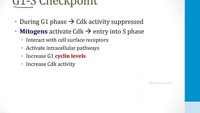 Cell Biology - 3. Cellular Biology - 1.Cell Cycle Atf