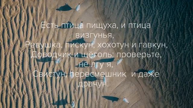 редкие птицы смотреть онлайн