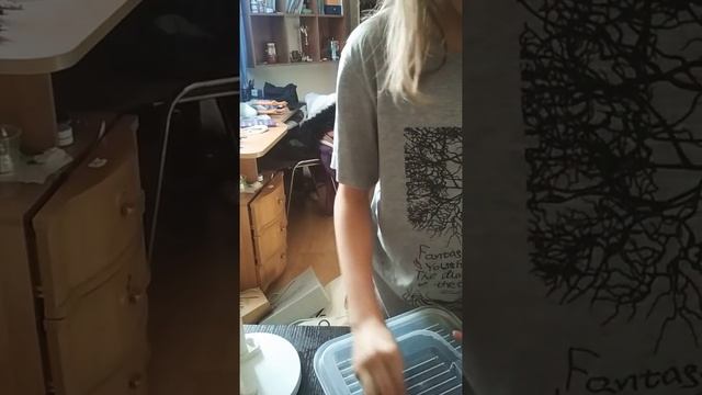 УЛИТКИ АХАТИНЫ!!! УХОД И СОДЕРЖАНИЕ УЛИТОК В ДОМЕ! смотреть онлайн