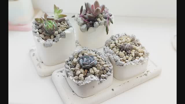 Делаем горшочки для суккулентов в технике "Разрушенный бетон" своими руками. смотреть онлайн