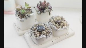 Делаем горшочки для суккулентов в технике "Разрушенный бетон" своими руками.
