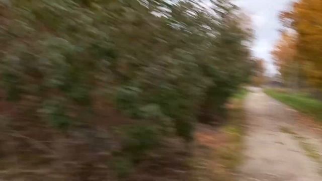 Дом с заколоченными окнами смотреть онлайн