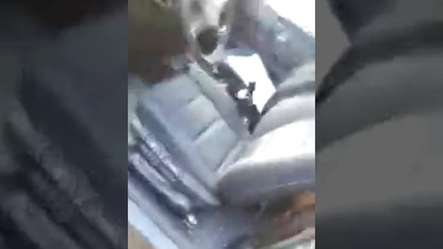 Сидения БМВ е36 купе в ниве смотреть онлайн