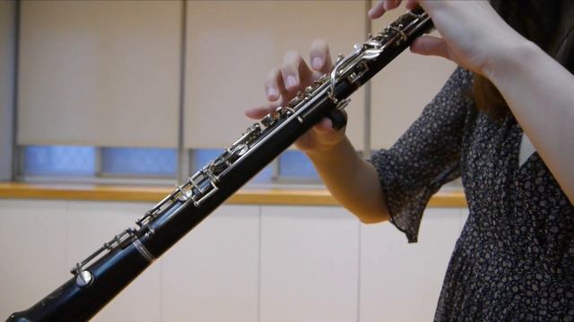 Camila Cabello - Havana Oboe/Piano Cover смотреть онлайн