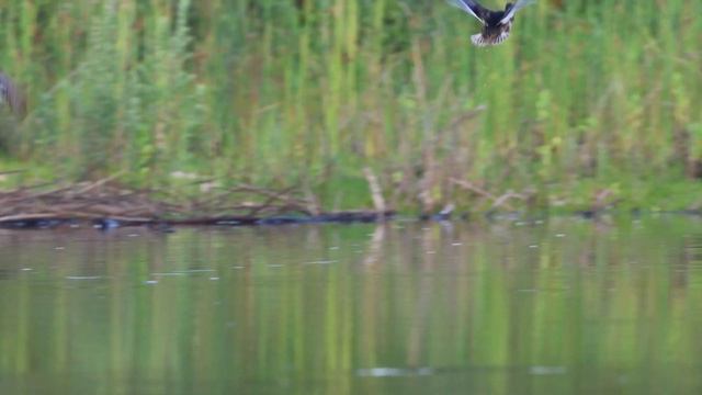 Canon EOS R7 photography in real world conditions смотреть онлайн