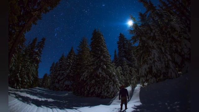 Мужчина нашёл в лесу девушку. То, что он с ней сделал, потрясло Интернет. смотреть онлайн