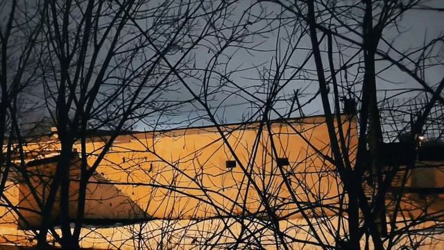 VID 20230315 003007 Не волнуйся, не плачь, не труди...1931(Б. Пастернак)...Павел Васильев Лахтински смотреть онлайн
