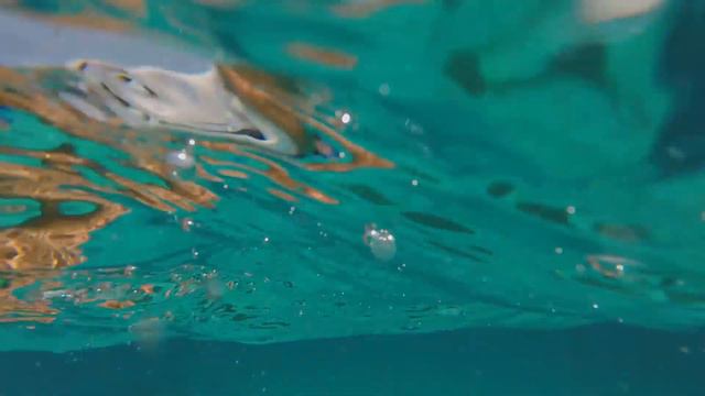 PHUKET FISHING AND SWIMMING. HOLIDAY IN PHUKET. JUMP TO THE SEA ON CORAL REEF FROM FISHING BOAT. EP смотреть онлайн