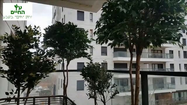 עץ החיים מעצבים יחדיו ירוק טבעי | איך לעצב עם צמחייה גבוהה במרפסת או גינה ולתת הרגשה של פרטיות?
