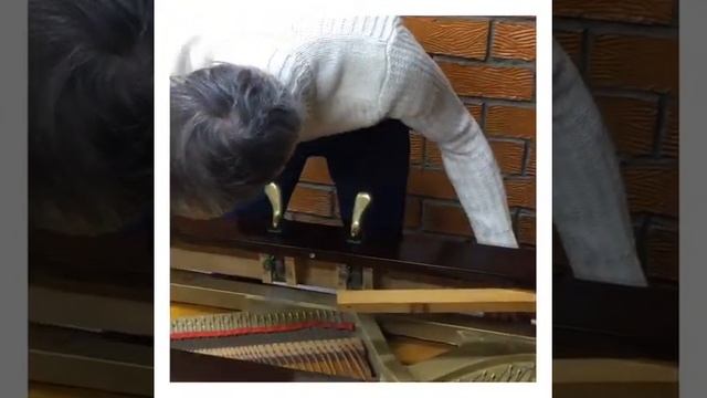 Снятие штульрамы и полика. Пианино Petrof