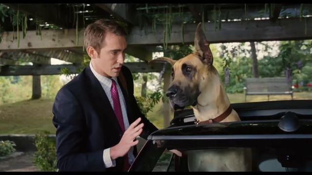 Мармадюк / Marmaduke смотреть онлайн