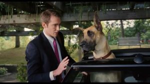 Мармадюк / Marmaduke