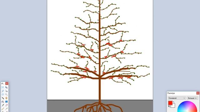 Обрезка яблони. Система Веретено с скелетным ярусом веток. смотреть онлайн
