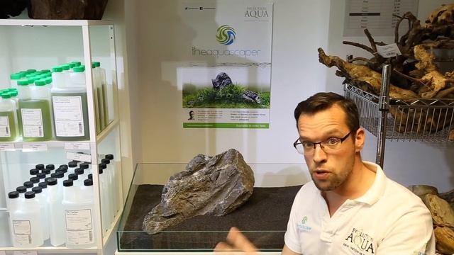 Hardscape Basics - Part 2 (using rocks) смотреть онлайн
