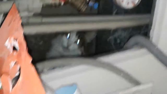 Страшный кот смотреть онлайн