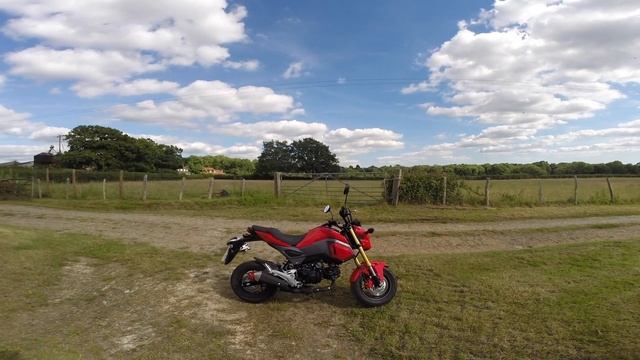 Brand new Honda MSX (Grom) 2016 Model // First vlog смотреть онлайн