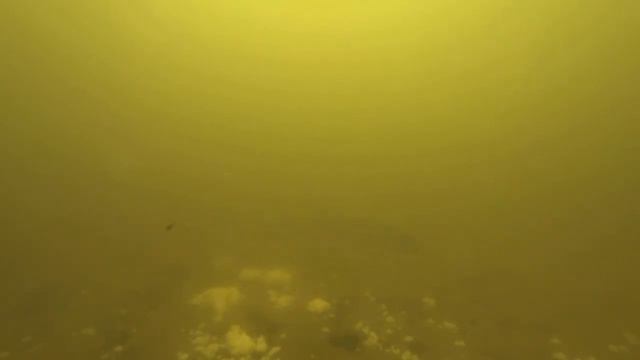 Прикорм из кукурузной крупы и подсолнечного масла смотреть онлайн