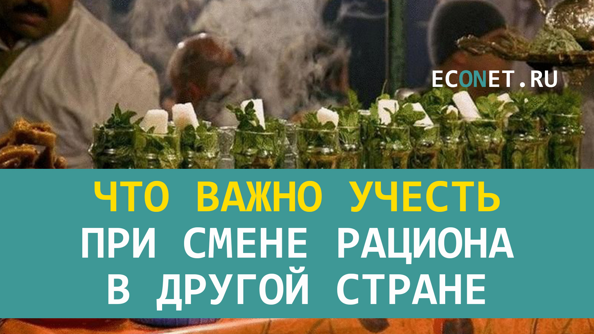 Что важно учесть при смене рациона в другой стране.