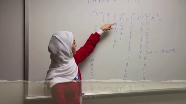 Patau Syndrome Mnemonic смотреть онлайн