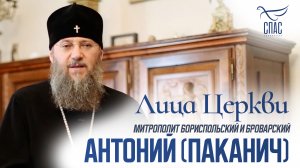 МИТРОПОЛИТ АНТОНИЙ (ПАКАНИЧ). ЛИЦА ЦЕРКВИ