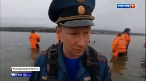 Детеныш касатки застрял на мели в магаданской области