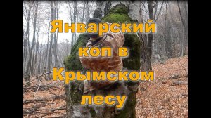 Январский коп 2023. Какие сюрпризы преподнес зимний лес