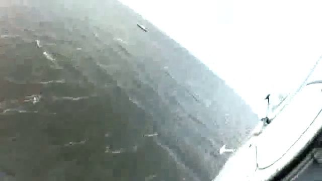 Тренировка пловцов-спасателей.flv смотреть онлайн