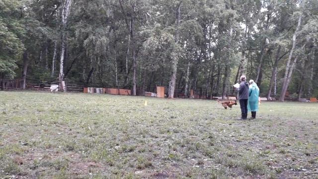 15.06.19. Пупков Сергей и Верный. ОКД смотреть онлайн