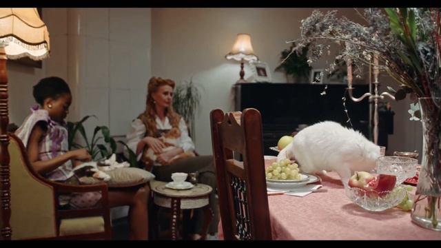 Funny Cat Videos 2023 ? | Cat Lovers ? | The Animal House смотреть онлайн