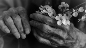 ТАКИЕ СУХИЕ ВЕТОЧКИ