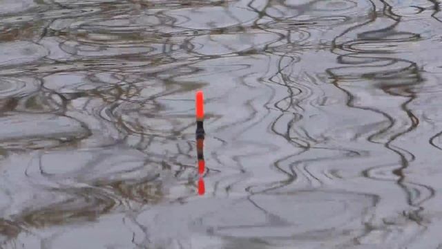 МАХОВАЯ УДОЧКА - ХЕРАБУНА тестим с ПОПЛАВКОМ смотреть онлайн