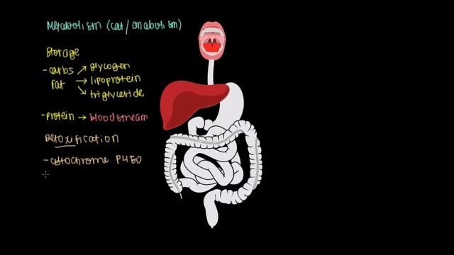 Liver | Gastrointestinal system physiology | NCLEX-RN | Khan Academy смотреть онлайн