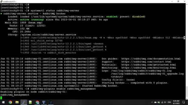 How to Install RabbitMQ on CentOS/Rocky Linux 9