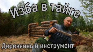 СТРОЮ ЗИМОВЬЁ.Интересный инструмент.БАТЯ ЛОВИТ РЫБУ.Чуя гоняет зайцев. НОВАЯ ИЗБА #2