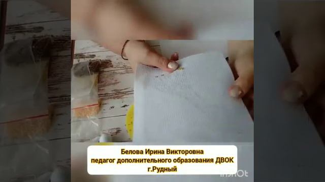 Дистанционное занятие. Вышиваем бисером работу на тему "Зоопарк".Занятие №11. смотреть онлайн