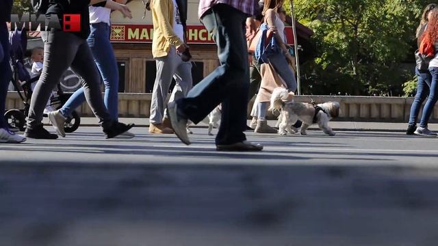 Прва парада за миленичиња смотреть онлайн