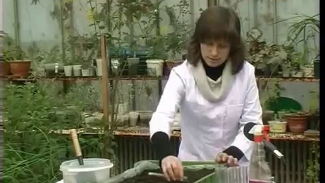 Тиса-1.Програма "Дім. Сад. Город" 27 лютого. смотреть онлайн